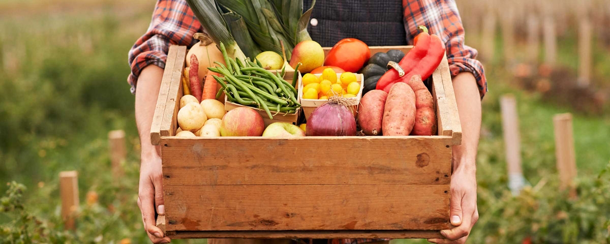 27d7e1bf8a2ff1beebfefb48a93c0980