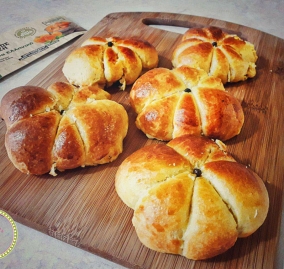 24169781_10214486447056552_159551167_o