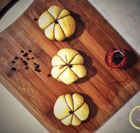 24197155_10214486447296558_1643217345_o