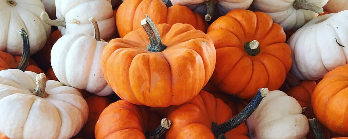 PUMPKINS