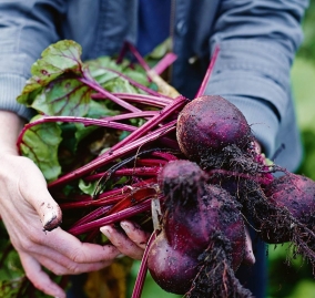 d8aa0846cf0d58d404028e0abd64c643