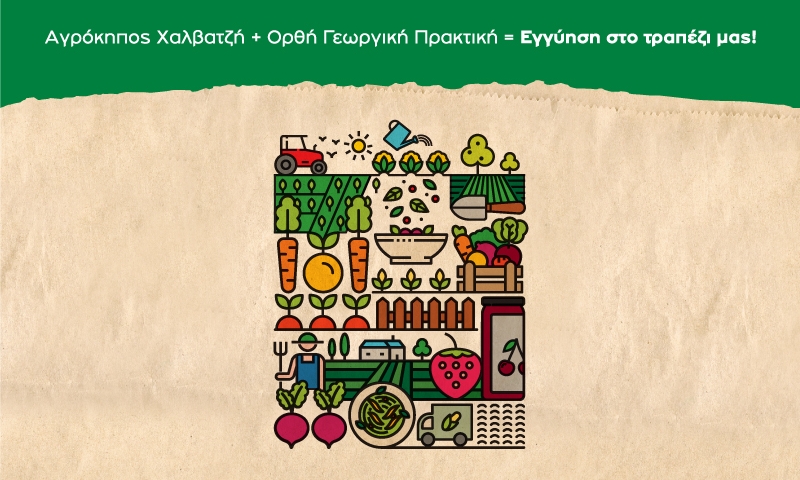 23_07_21 - agrokipos